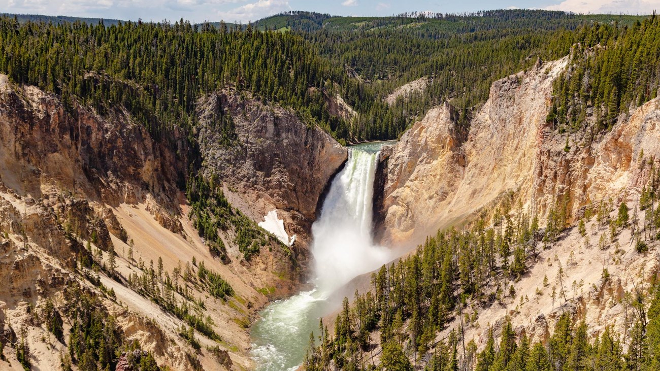 Lower Falls Yellowstone